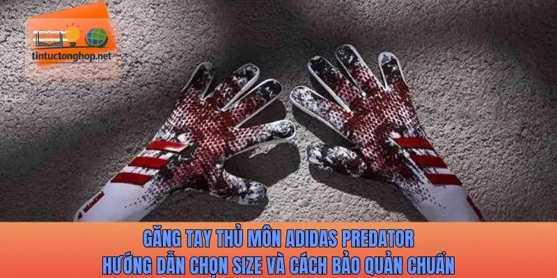 Găng tay thủ môn Adidas Predator hướng dẫn chọn size và cách bảo quản
