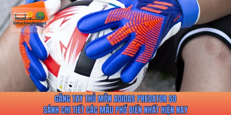 Găng tay thủ môn Adidas Predator so sánh chi tiết các mẫu phổ biến nhất hiện nay