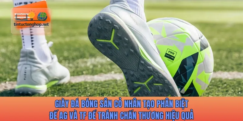 Giày đá bóng sân cỏ nhân tạo phân biệt đế AG và TF để tránh chấn thương hiệu quả