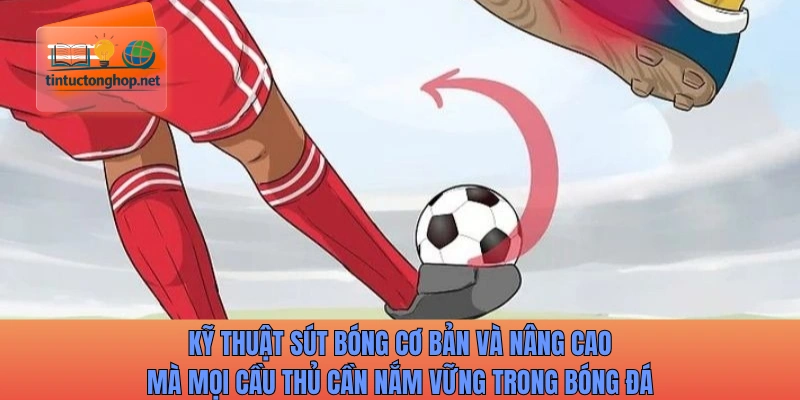 Kỹ thuật sút bóng cơ bản và nâng cao mà mọi cầu thủ cần nắm