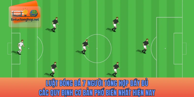 Luật bóng đá 7 người tổng hợp đầy đủ các quy định cơ bản phổ biến nhất